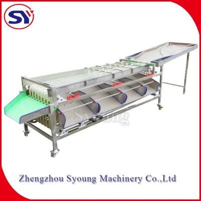 Small Type Fruit Sorting Grading Machine for Cherry Tomato