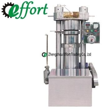 Top Quality SS304 Hydraulic Oil Press Used for Sesame/Peanuts/Nuts/Pumpkin Seeds