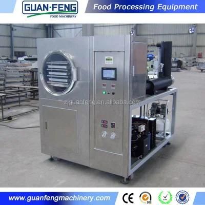 Industrial Commercial Lab Vegetable Freeze Dryer for Fruits