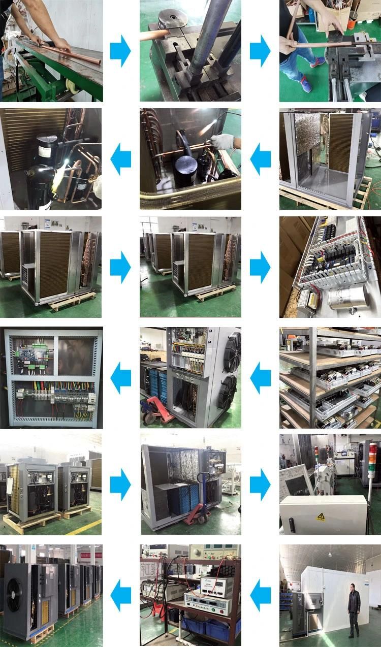 Energy Efficient Industrial Fruit Vegetable Fish Red Chili Shrimp Tomato Seafood Seafood Scallop Squid Strawberry Sweet Potato Sausage Turmeric Drying Machine