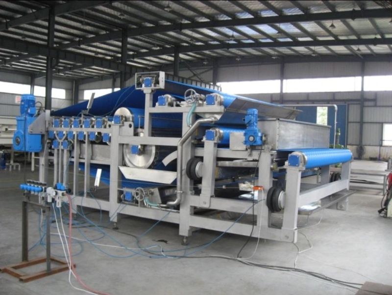 Automatic Mango and Orange Processing Line (2-40TPH)