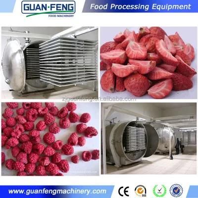 Fruits Vacuum Freeze Drying Strawberry Lyophilizer for Sale