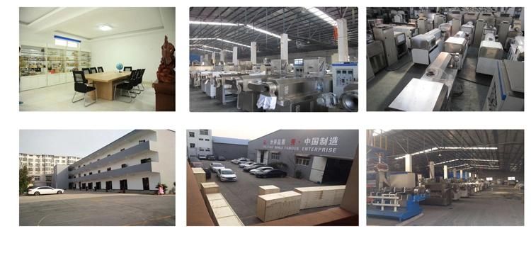 Twin Screw Corn Snack Extruder Machine Tortilla Machine Production Line