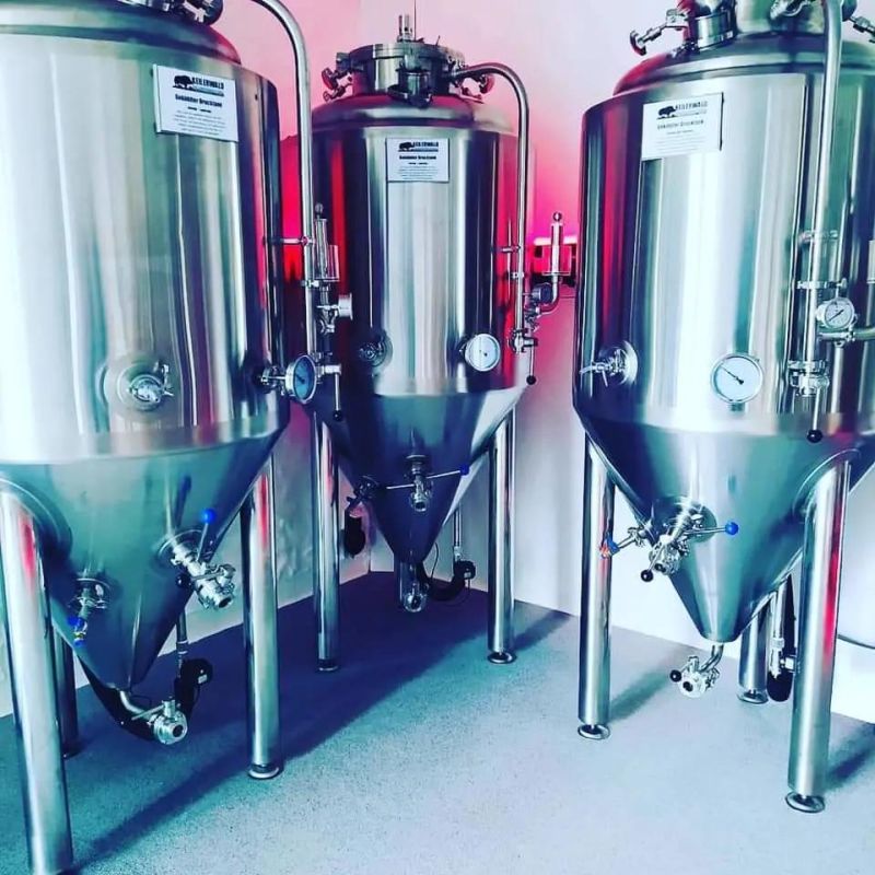 Stainless Steel 304 Small 100L Beer Brewing Fermenters Home Beer Brewing for Sale