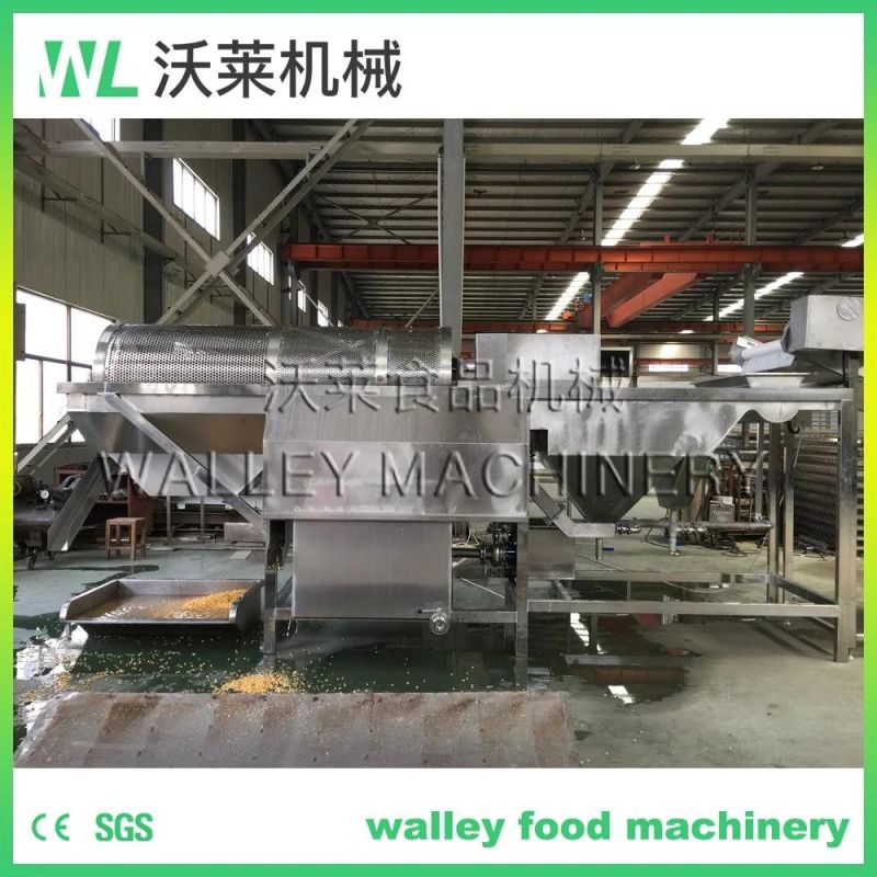 Corn Washing Machine Maize Washing Machine Green Peas Washer