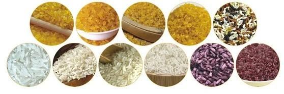 Hot Sale Grain Product Fortified Rice Kernel Plant