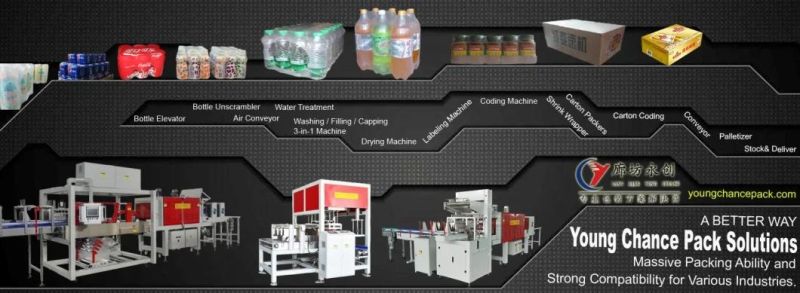 Mineral Drinking Water Shrink Wrapping Packaging Machine Full Production Line