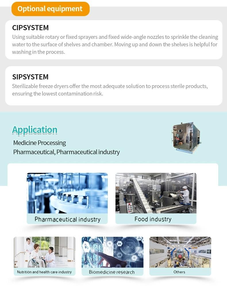 Industrial Food Freeze-Drying Equipment Fruit Vacuum Freeze Dryer Household Vegetable Freeze Dryer