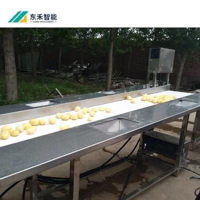 Frozen French Fries Production Line/Potato Chips Production Line