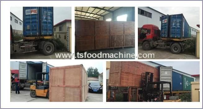 Chicken and Snack Food Frying Machine Commercial Fryer