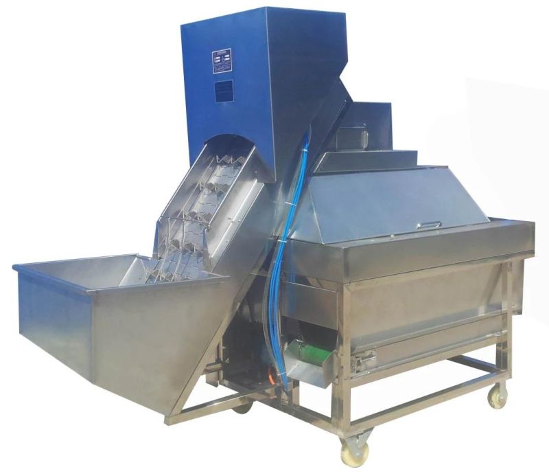 Full Automatic Onion Peeling Machine Onion Root Cutting Machine