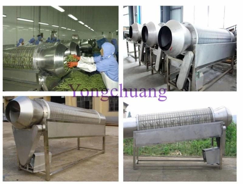 Factory Directly Sale Green Bean Cutting Machine with High Capacity