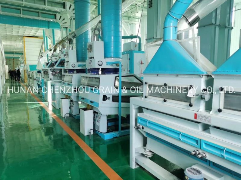 Clj High Quality Paddy&Rice Suction Type Destoner Machine Tqsx85b