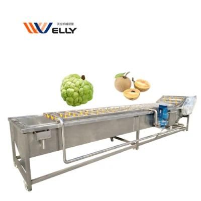 Fast Delivery Beetroot Washing Salad Vegetable Cleaning Machine for Export