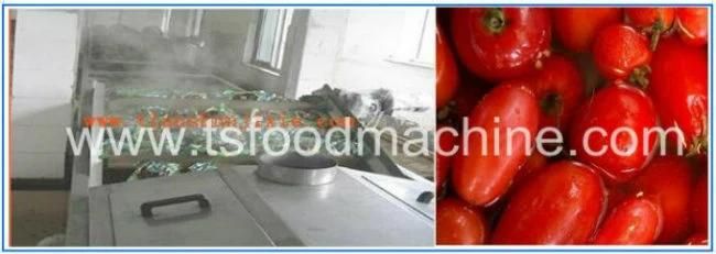 Tomato Processing Equipment Tomato Washing Blanching Machine