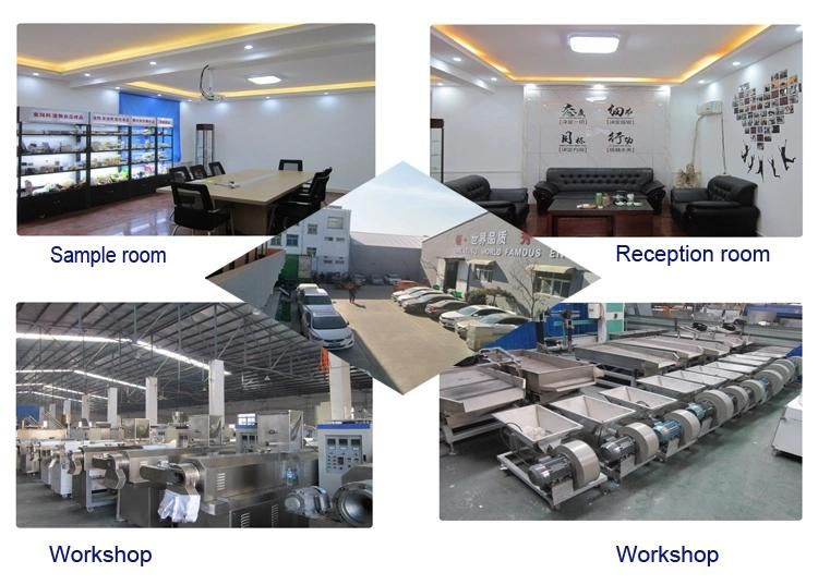 Automatic Fish Food /Feed Twin Screw Extruder Machine Processing Line