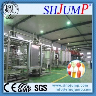 High Precision Fruits &amp; Vegetable Processing Line