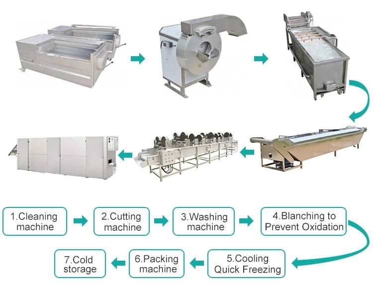 Quick Freezing Processing Machine Frozen Vegetable and Fruit Production Line