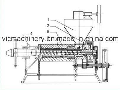 800 kg/h Big Capacity 6YL-165 Automatic Screw Oil Press