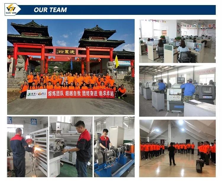 Automatic Nutritional Rice Extrusion Machine Artificial Rice Making Processing Line