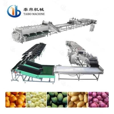 Automatic Taro Avocado Lemon Washing Waxing Grading Sorting Line with CE