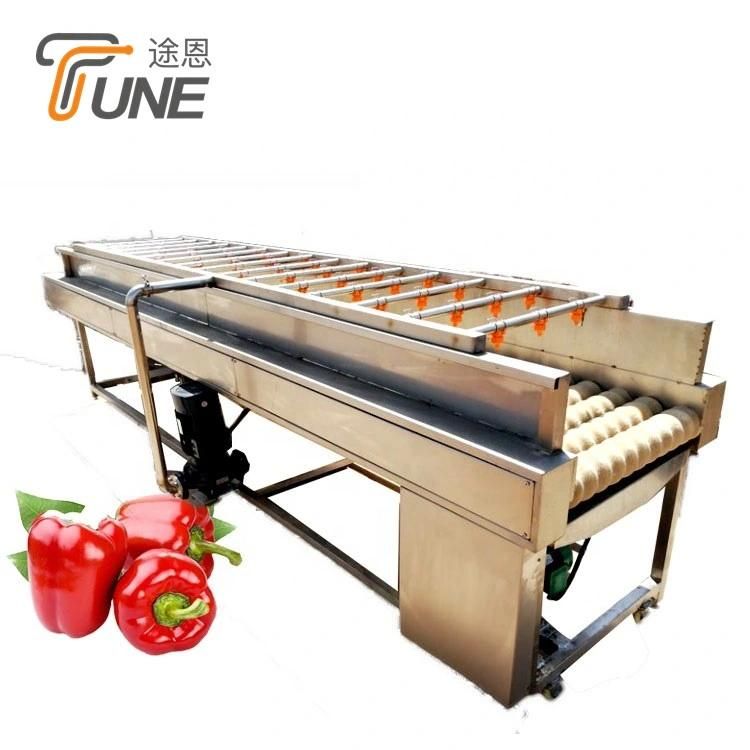 Leaf and Root Vegetable Lettuce Potato Washing Machine Line Washing Plant