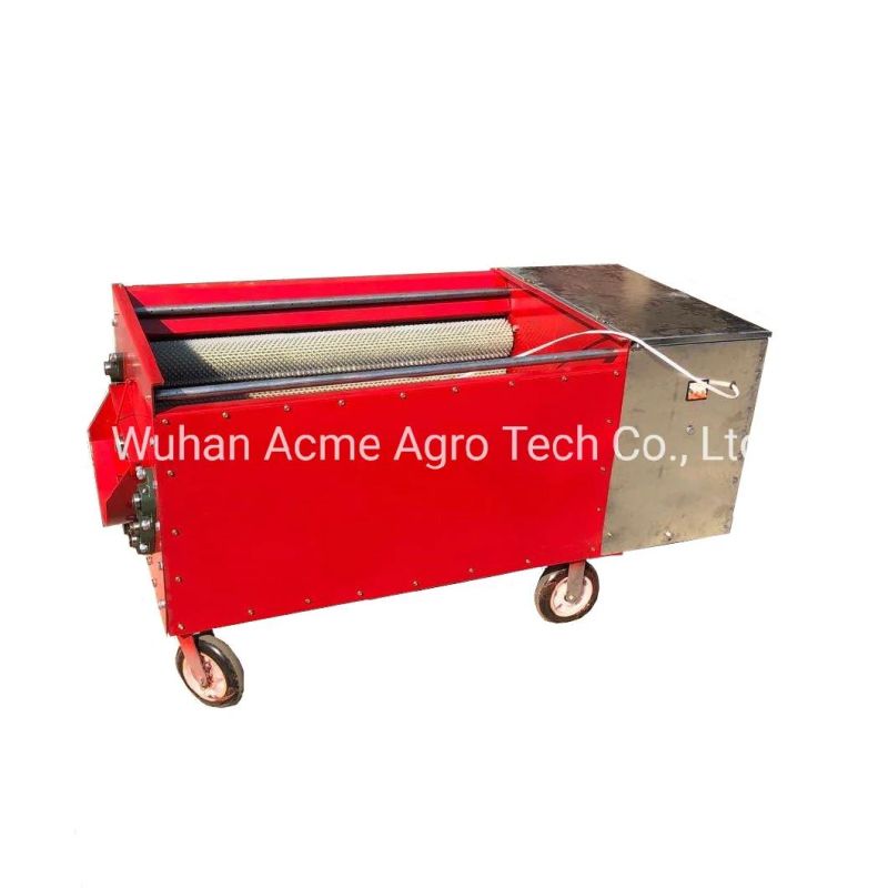 Electric Green Skin Peeler Green Walnut Peeling Washing Machine for Sale Walnut Skin Peeler Machine