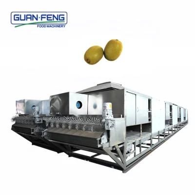 Food Dehydration Machine Ginger Belt Dryer for Vegetables