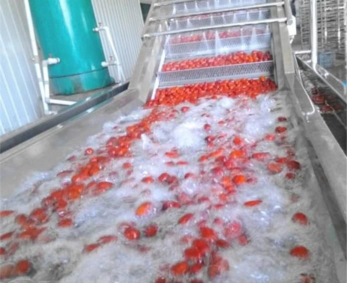 Bubble Washing Machine for Tomatoes Cherry Tomato Washing Machine