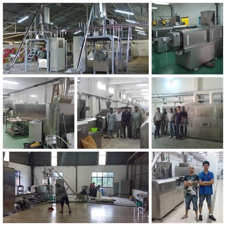 Maggi Instant Noodles Making Equipment