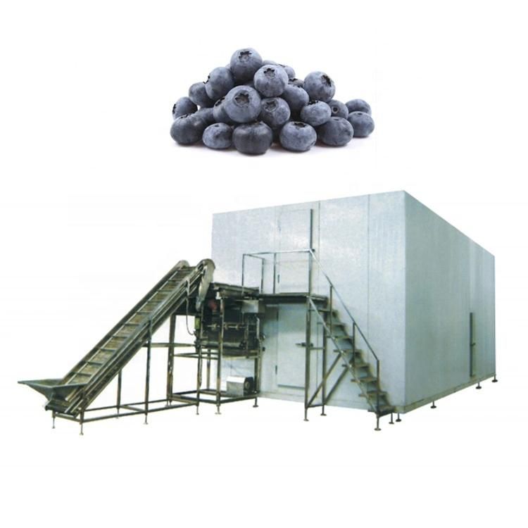 Industrial Pea Freezing Line Green Pea IQF Freezer