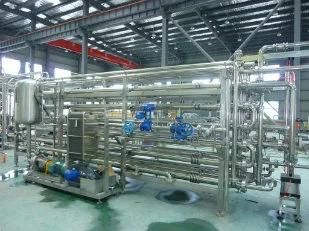 High Efficiency Longan Juice Puree Production Line