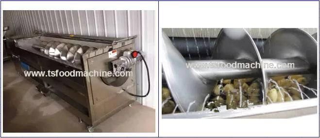 Potato and Cassava Washing Machine or Washer