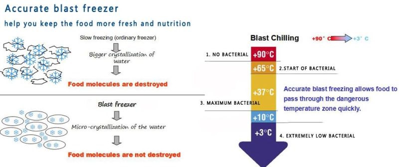 15 Pans Blast Freezer for Ice Cream, Restaurant Blast Chiller Freezer (AK15-D)