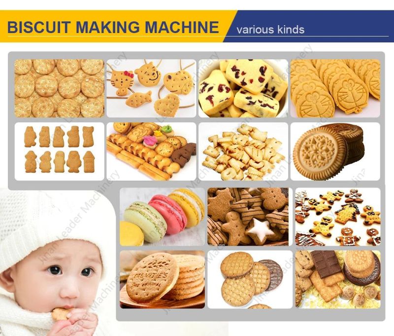 Chocolate Biscuit Production Line Price Small Scale Biscuit Making Process Biscuite Making Equipment