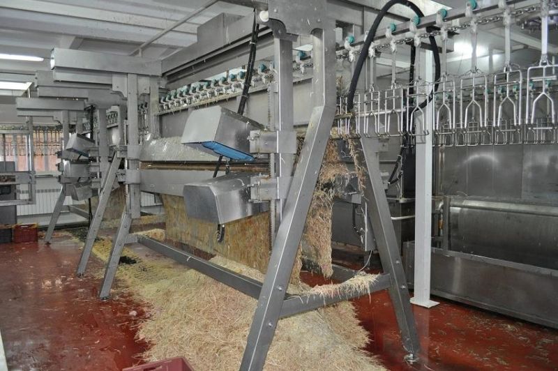 Chicken Plucker Poultry Feather Plucking Machine for Poultry Slaughterhouse