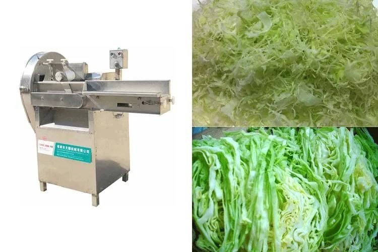 Belt Vegetables Cutting Machines Slice Wild Cabbage Vegetable Cutting Machine