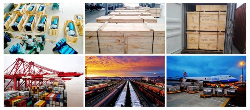 6.5tpd Rapeseed Oil Mill Machine Combined Oil Pressers