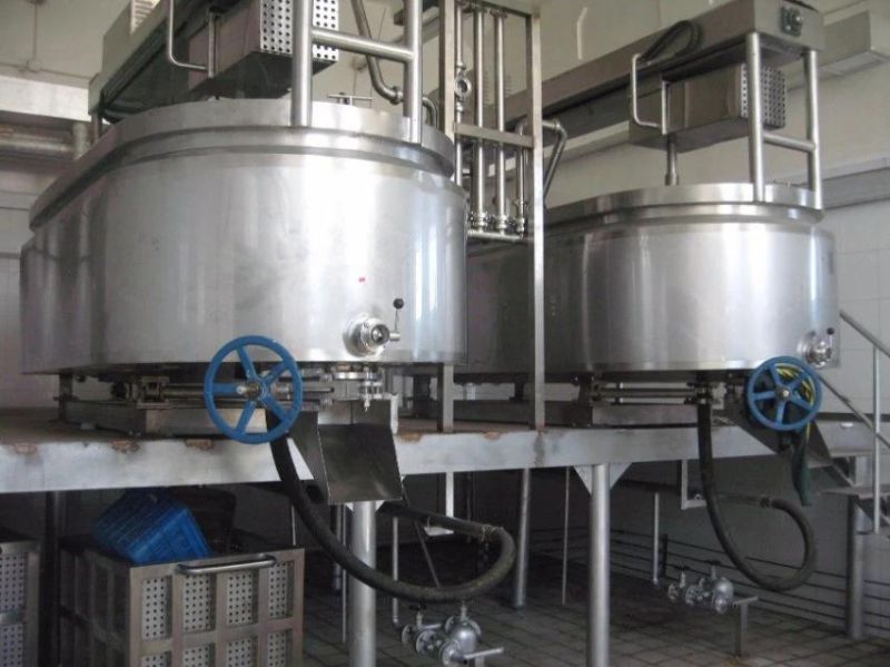 Complete fresh milk making Cheese Processing Machine