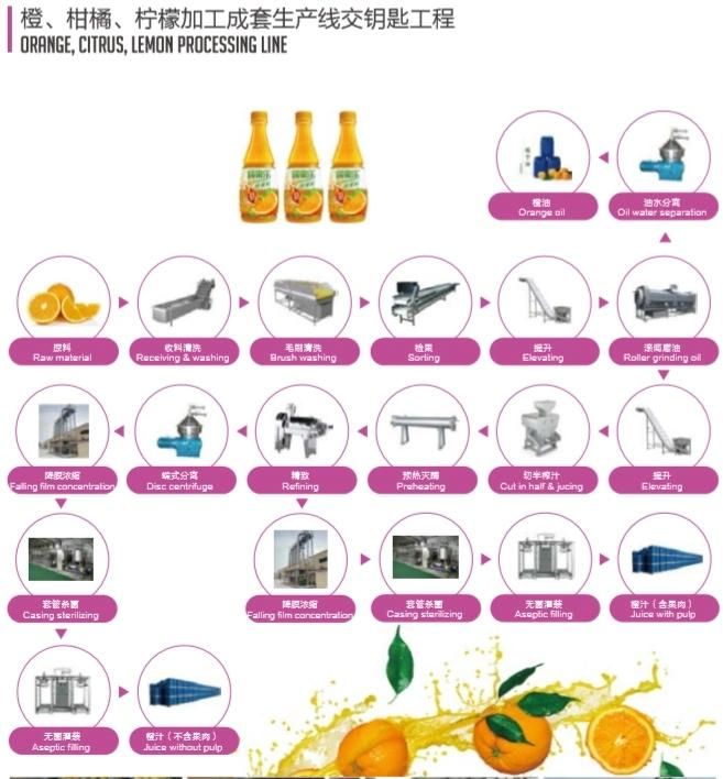 Orange Citrus Lemon Juice Processing Machine Production Line Turnkey Project