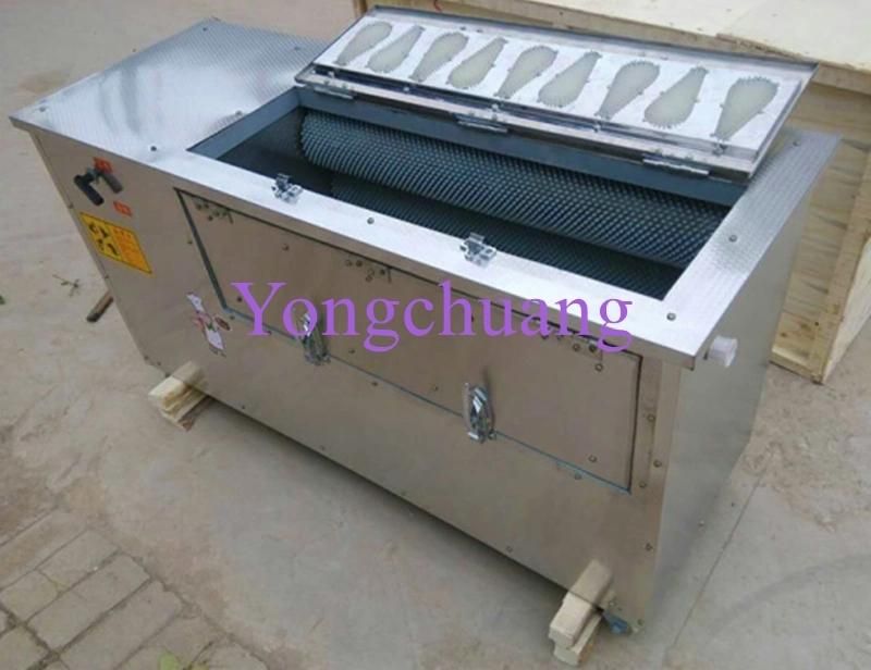 Fish Processing Equipment / Fish Scale Remove Machine