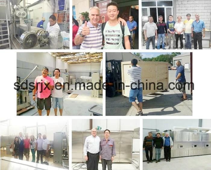 Twin-Screw Extruded Rice Murmura Production Line Equipment Extruder