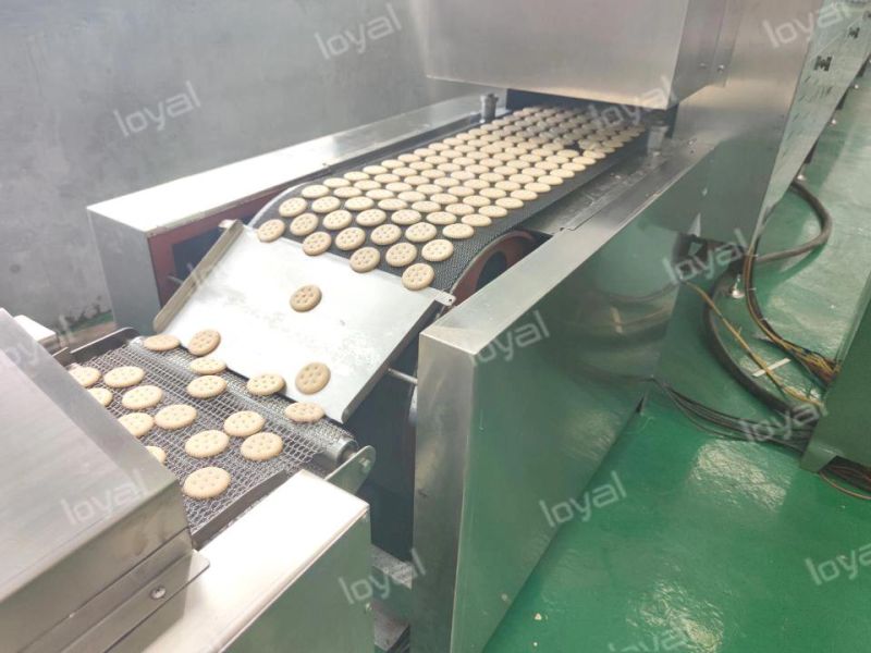 Sandwich Biscuit Making Machine Biscuit Production Line Biscuit Machine