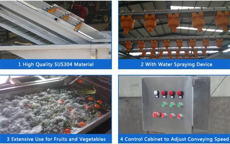 High Quality Fruit Processing Equipment Vegetable Sorting Grading Washing Machinery