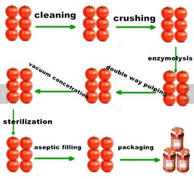 Commecial Tomato Paste/Ketchup /Tomato Puree Production Line with Can /Bottle Package