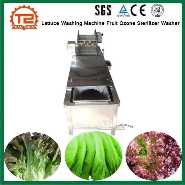 Commercial Lettuce Washing Machine Fruit Ozone Sterilizer Washer