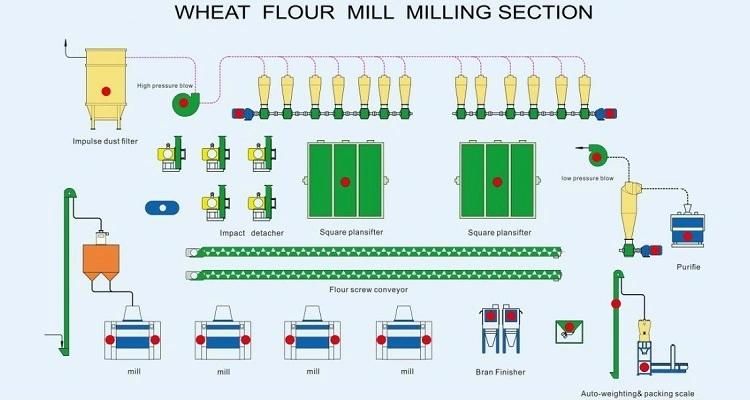 Automatic 50tpd Wheat Flour Milling Plant