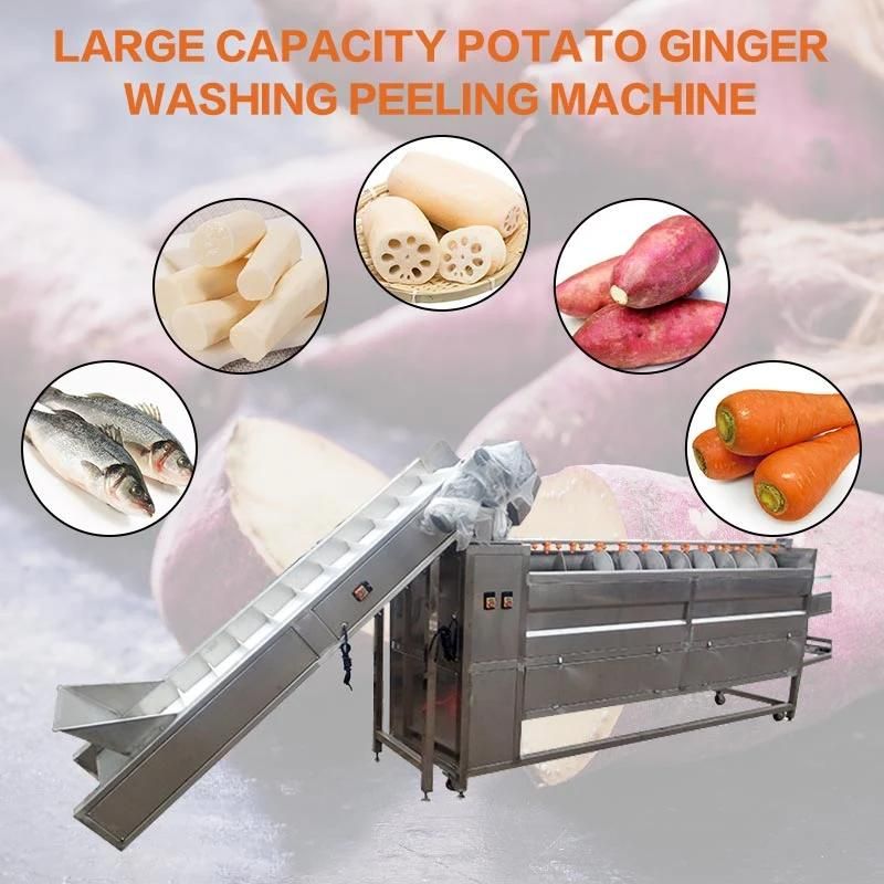 Large Capacity Potato Carrot Ginger Washing Peeling Machine