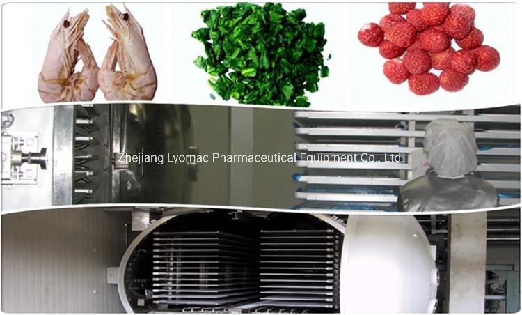 Food Vacuum Freeze Dryer for Vegetables Fruits Herb Coffee and Convenient Soup