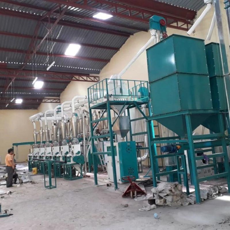 50tons Maize Flour Factory for Complete Maize Milling Machines